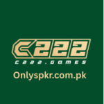 C222 Game