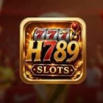 H789 Game