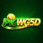PKWG5D Game