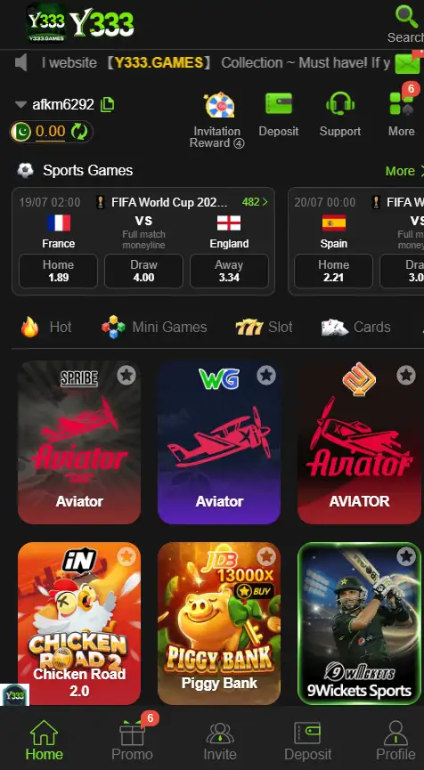 Y333 Game
